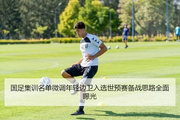 国足集训名单微调年轻边卫入选世预赛备战思路全面曝光