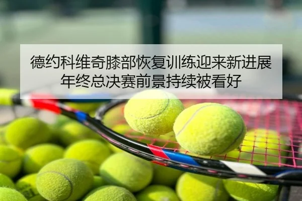 德约科维奇膝部恢复训练迎来新进展 年终总决赛前景持续被看好